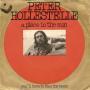 Coverafbeelding Peter Hollestelle - A Place In The Sun
