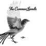 Details The Common Linnets - Christmas around me