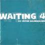 Details Peter Gelderblom - Waiting 4