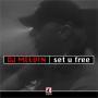 Coverafbeelding DJ Melvin - Set U Free