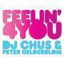 Trackinfo DJ Chus & Peter Gelderblom - Feelin' 4 you