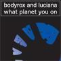 Details Bodyrox and Luciana - What Planet You On