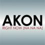 Trackinfo Akon - Right now (Na na na)