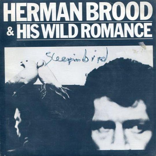 Coverafbeelding Sleepin Bird - Herman Brood & His Wild Romance