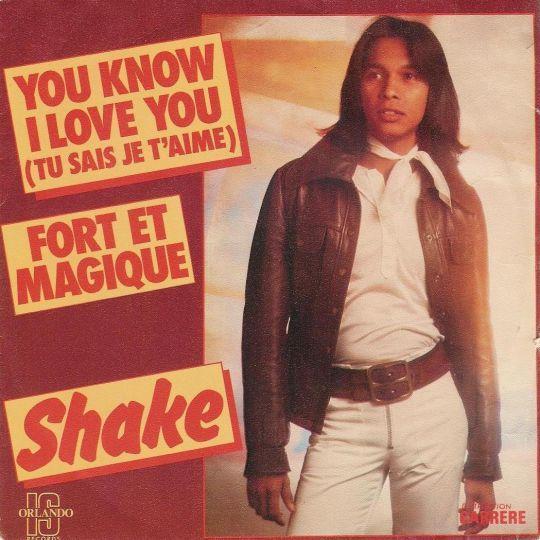 Coverafbeelding Shake - You Know I Love You (Tu Sais Je T'aime)