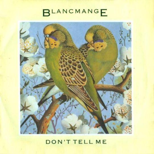 Coverafbeelding Don't Tell Me - Blancmange