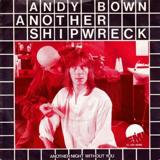 Coverafbeelding Andy Bown - Another Shipwreck