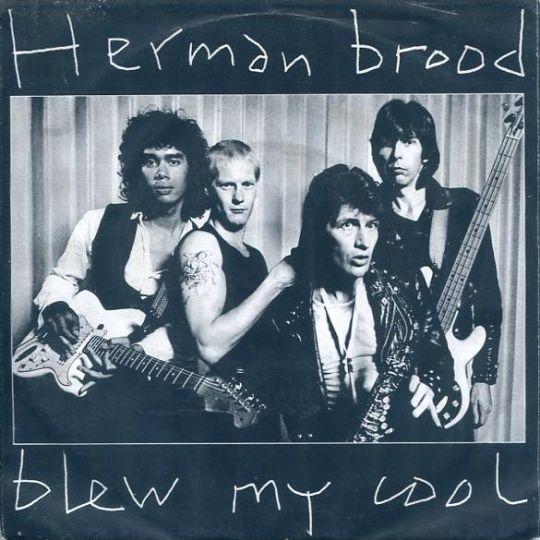 Coverafbeelding Blew My Cool - Herman Brood