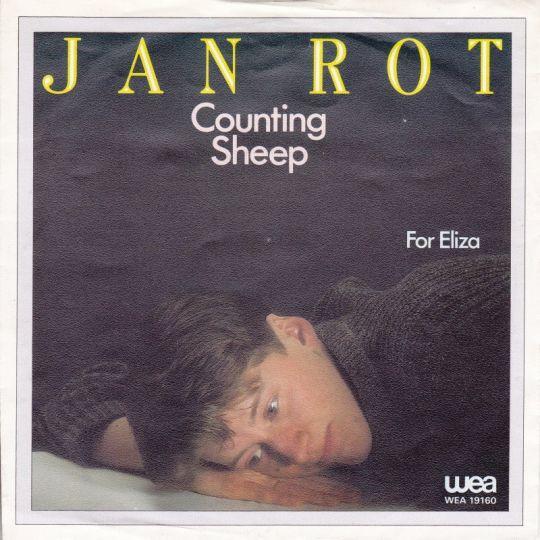 Coverafbeelding Counting Sheep - Jan Rot