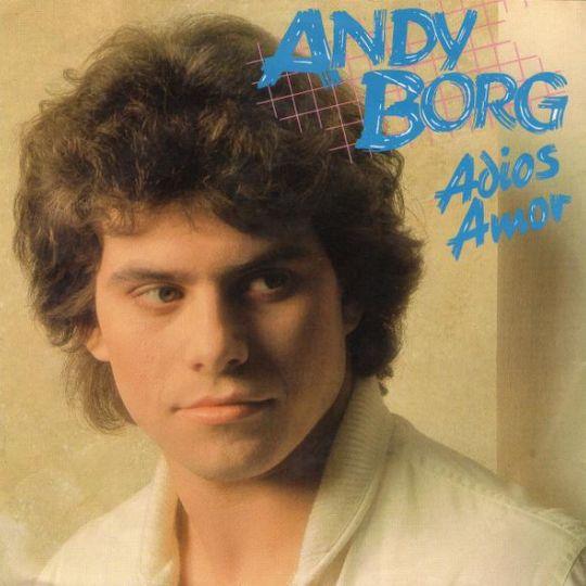 Coverafbeelding Adios Amor - Andy Borg