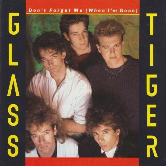 Coverafbeelding Glass Tiger - Don't Forget Me (When I'm Gone)