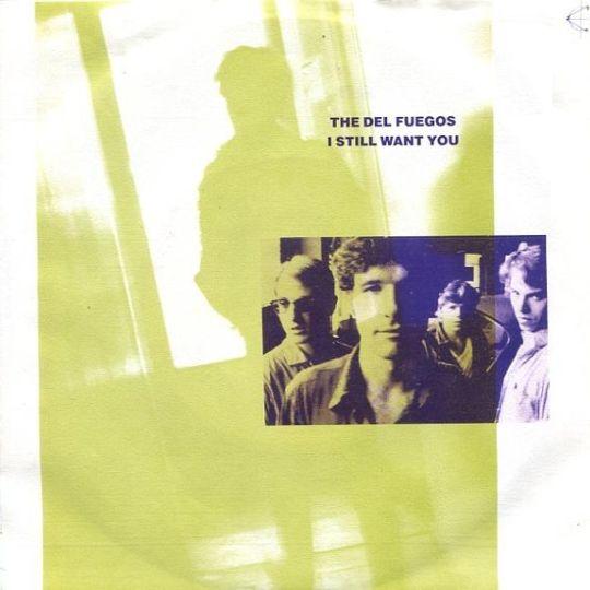 Coverafbeelding The Del Fuegos - I Still Want You