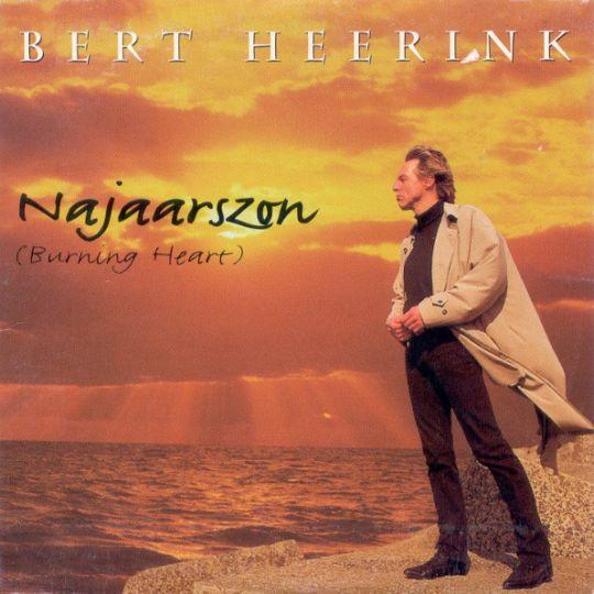 Coverafbeelding Bert Heerink - Najaarszon (Burning Heart)