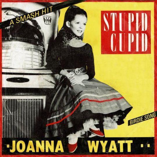 Coverafbeelding Joanna Wyatt - Stupid Cupid