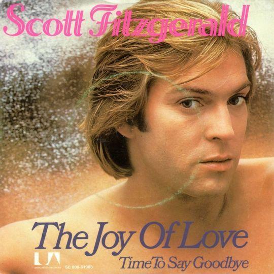 Coverafbeelding The Joy Of Love - Scott Fitzgerald