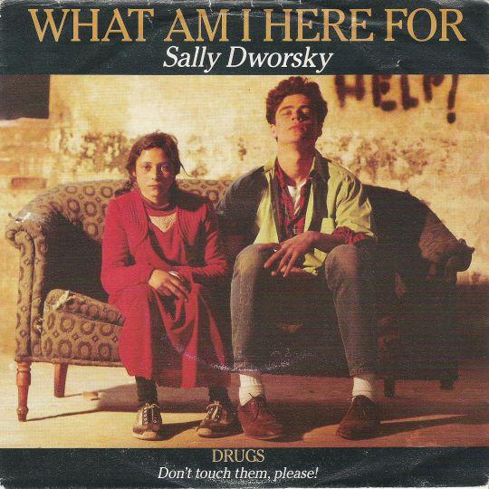 Coverafbeelding Sally Dworsky - What Am I Here For