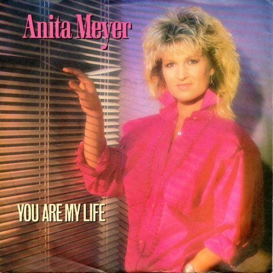 Coverafbeelding Anita Meyer - You Are My Life