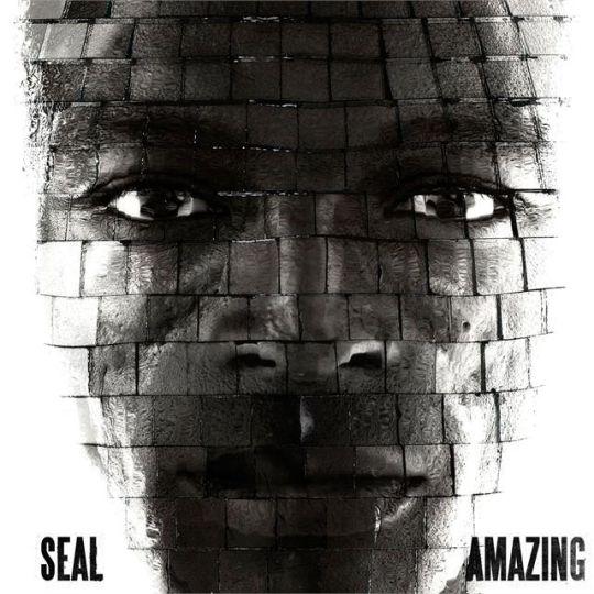 Coverafbeelding Amazing - Seal