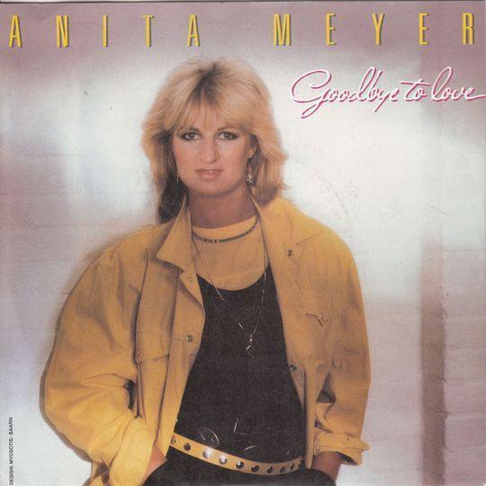 Coverafbeelding Goodbye To Love - Anita Meyer