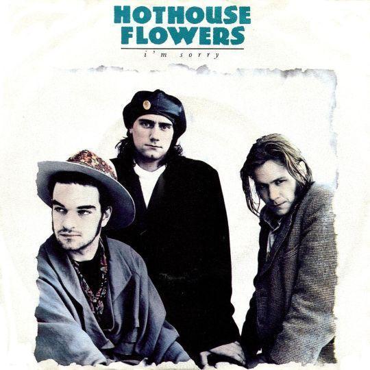 Coverafbeelding Hothouse Flowers - I'm Sorry
