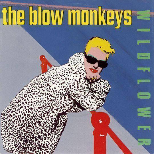Coverafbeelding Wildflower - The Blow Monkeys