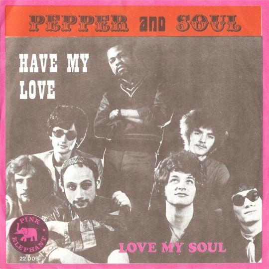 Coverafbeelding Pepper and Soul - Have My Love