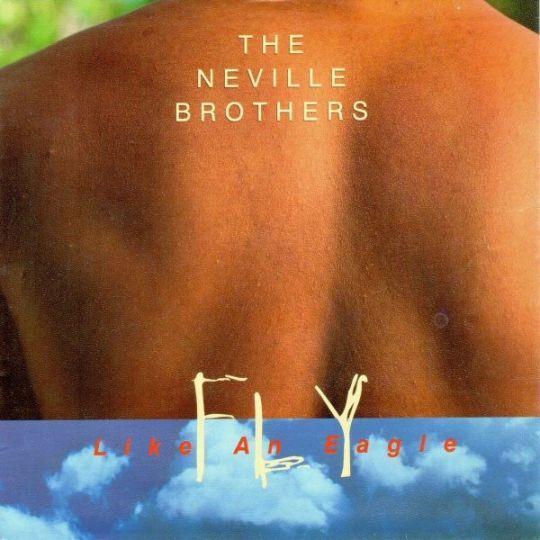 Coverafbeelding Fly Like An Eagle - The Neville Brothers