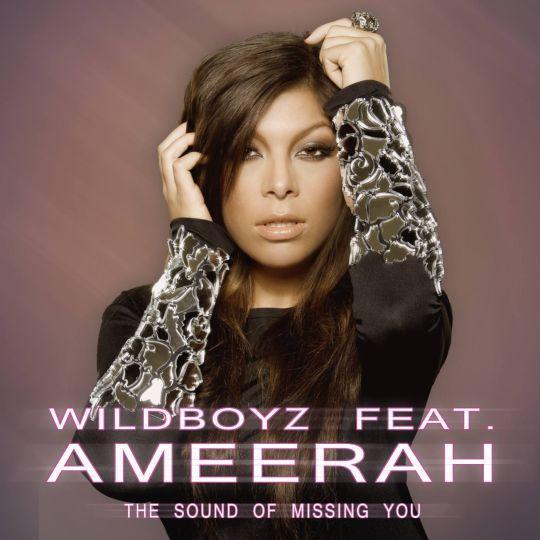 Coverafbeelding Wildboyz feat. Ameerah - The sound of missing you