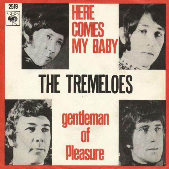Coverafbeelding The Tremeloes - Here Comes My Baby