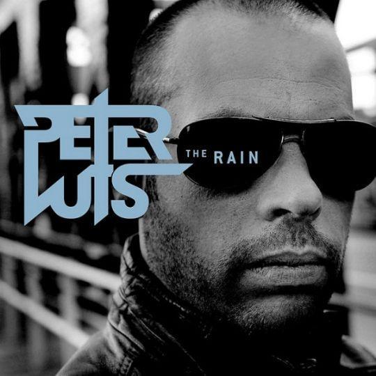 Coverafbeelding Peter Luts - The rain
