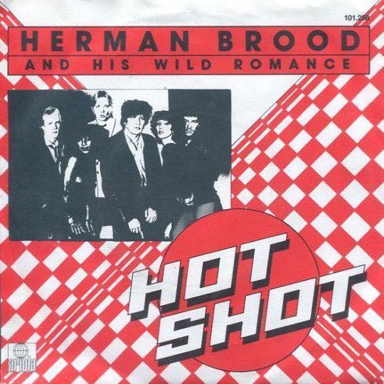 Coverafbeelding Hot Shot - Herman Brood And His Wild Romance