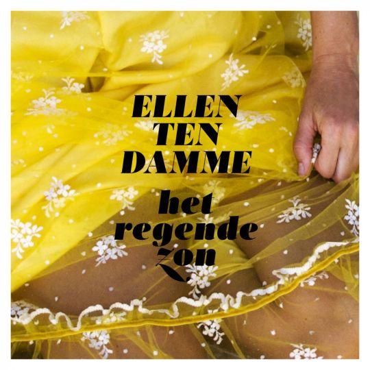 Coverafbeelding ellen ten damme - het regende zon