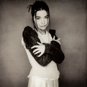 Coverafbeelding Human Behaviour - Björk