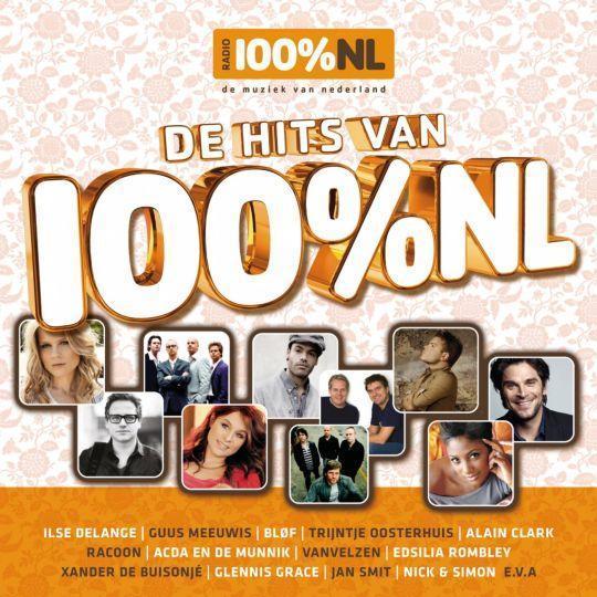 Coverafbeelding various artists - de hits van 100%nl