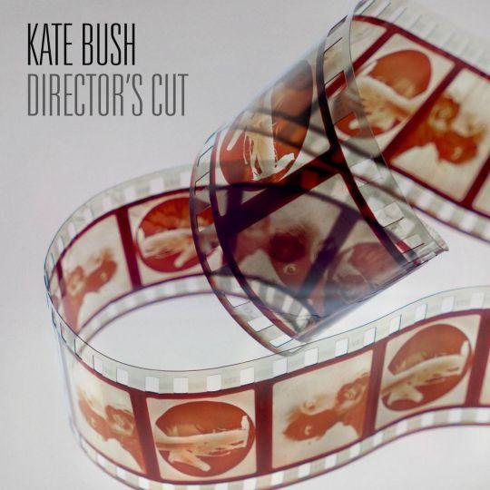 Coverafbeelding kate bush - director's cut