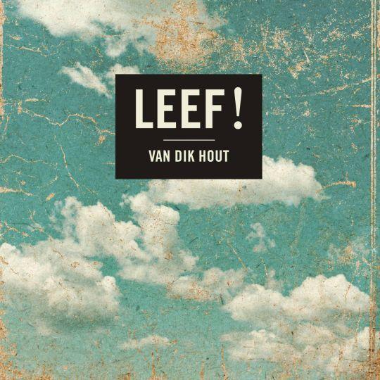Coverafbeelding van dik hout - leef!
