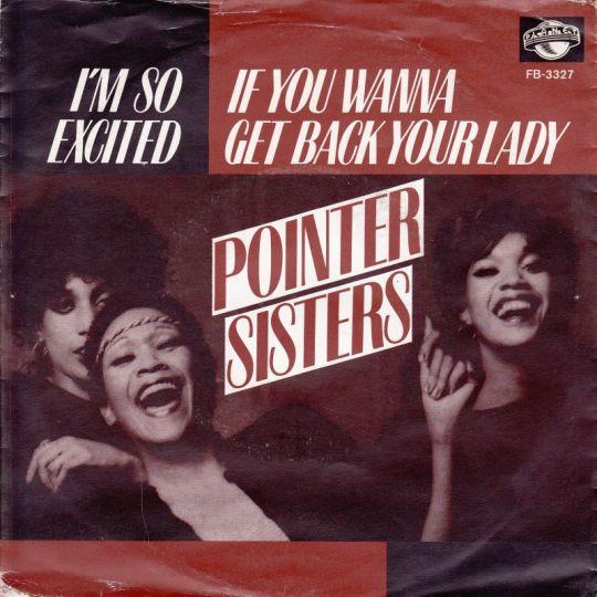 Coverafbeelding If You Wanna Get Back Your Lady - Pointer Sisters