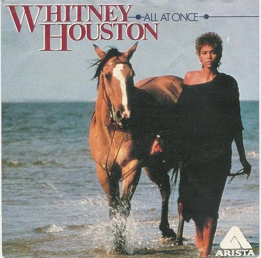 Coverafbeelding Whitney Houston - All At Once