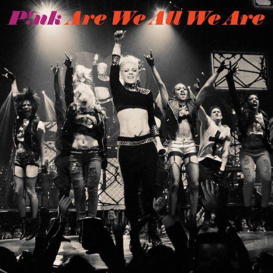 Coverafbeelding Are We All We Are - P!Nk