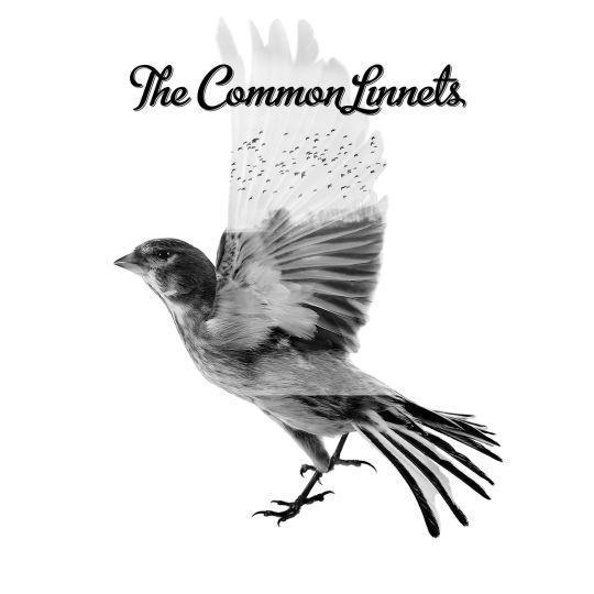 Coverafbeelding the common linnets - the common linnets