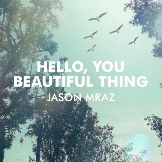Coverafbeelding Hello, You Beautiful Thing - Jason Mraz
