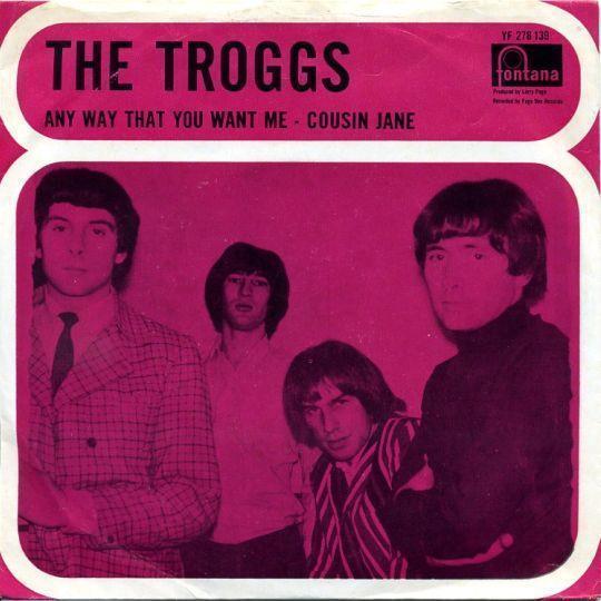 Coverafbeelding Any Way That You Want Me - The Troggs