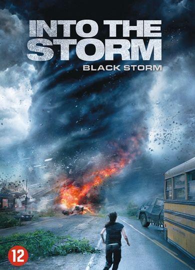 Coverafbeelding richard armitage, sarah wayne callies e.a. - into the storm