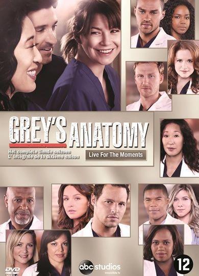 Coverafbeelding ellen pompeo, justin chambers e.a. - grey's anatomy - het complete tiende seizoen
