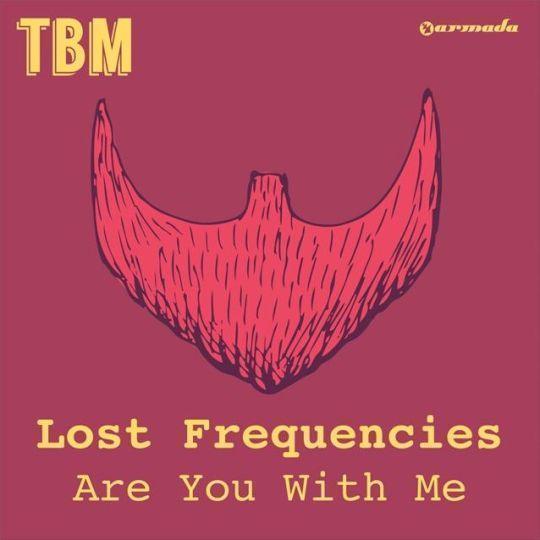 Coverafbeelding Are You With Me - Lost Frequencies