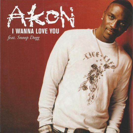 Coverafbeelding I Wanna Love You - Akon Feat. Snoop Dogg
