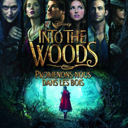Coverafbeelding anna kendrick, meryl streep e.a. - into the woods