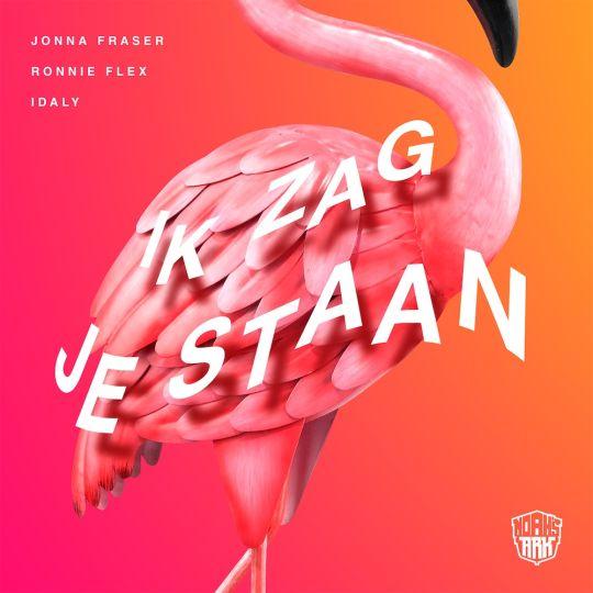 Coverafbeelding Jonna Fraser ft. Ronnie Flex & Idaly - Ik zag je staan