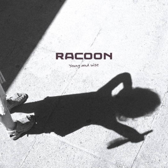 Coverafbeelding Young And Wise - Racoon