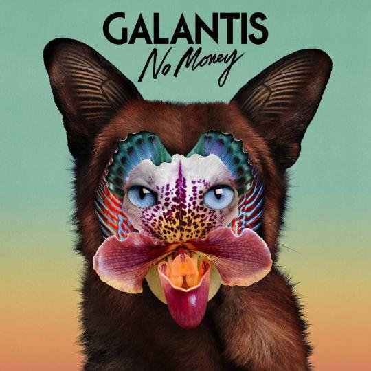 Coverafbeelding Galantis - No money